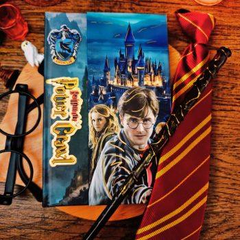 A5 Harry Potter Notebook – Ravenclaw Theme with 100 Printed Pages | Magnetic flap for a neat and secure close  | 100 GSM premium quality with full-color designs for Harry Potter lovers, students, and collectors(Ravenclaw)