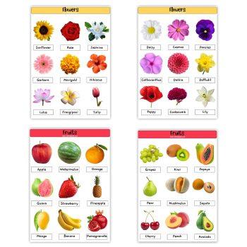 Project Stickers for Kids Project Pack Of 4 Sheets – Fruits And Flowers Stickers | School Project | Easy Peel & Paste | Glossy Lamination to prevent scratches Adhesive Sticker (36 Pcs)