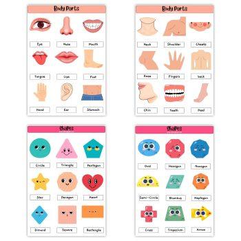 Project Stickers for Kids Project Pack Of 4 Sheets – Shapes And Body Parts Stickers | School Project | Easy Peel & Paste | Glossy Lamination to prevent scratches Adhesive Sticker (36 Pcs)