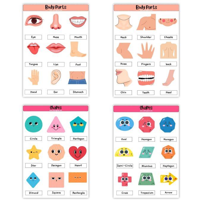 Project Stickers for Kids Project Pack Of 4 Sheets – Shapes And Body ...